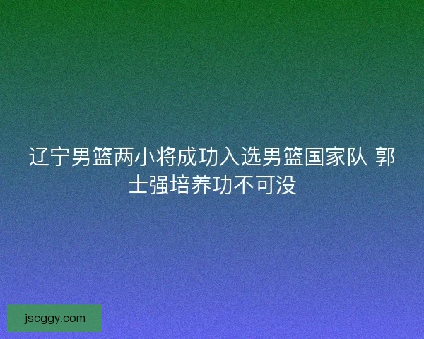 辽宁男篮两小将成功入选男篮国家队 郭士强培养功不可没